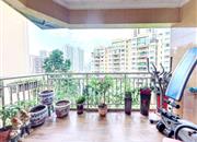 倚山花园（二期）-阳台