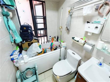 嘉御豪园(信义嘉御山)-卫生间