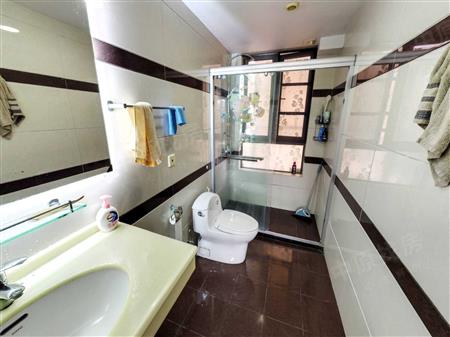 星河丹堤花园-卫生间