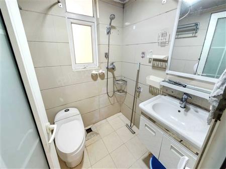 理想新城（理想家园）-卫生间