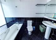 中央花园-卫生间