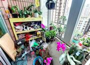 龙珠花园（B区）-阳台