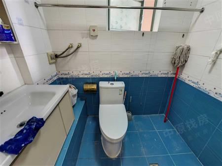 蓝湾半岛-卫生间