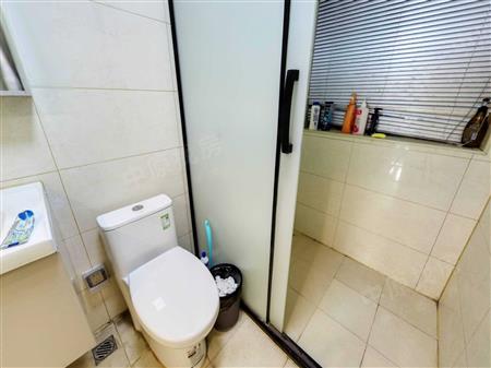 深城投中城花园-卫生间