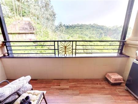 桃源居六区-阳台