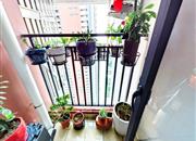 龙悦居四期-阳台