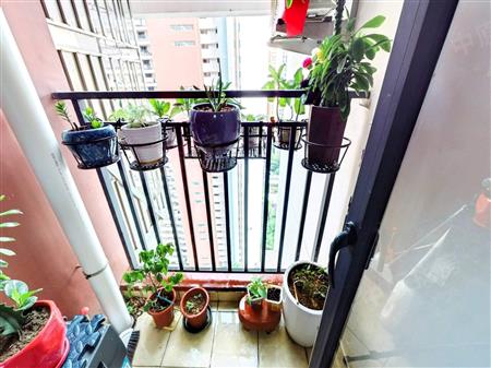 龙悦居四期-阳台