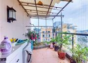 桃源居十四区-其他