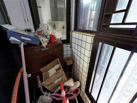 星河银湖谷花园-阳台