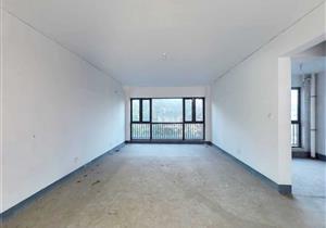 星河盛世优质大户型