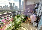 城市绿洲花园-阳台