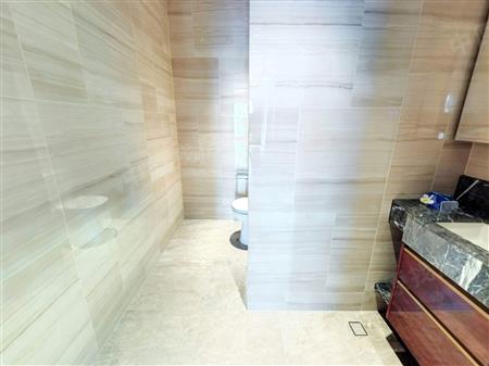 中心天元-卫生间