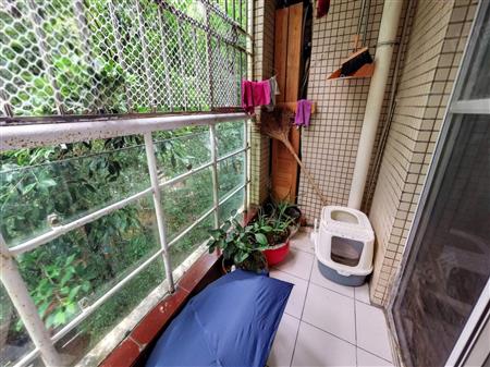 梧桐山新居（二期）-阳台