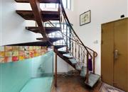 桃源居十七区-其他