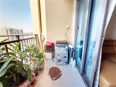 流塘阳光花园-阳台