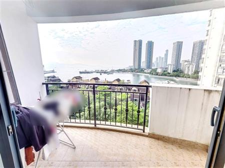 南海玫瑰园（二期）-阳台