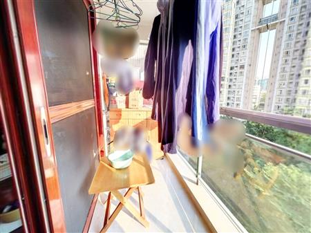 百合星城（二期）-阳台