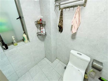 深业新岸线（二期）-卫生间