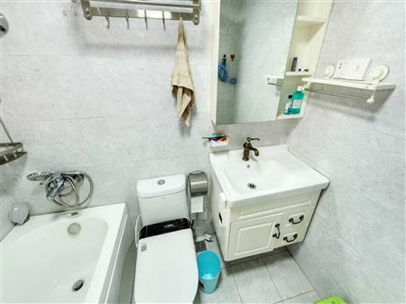 深业新岸线（二期）-卫生间