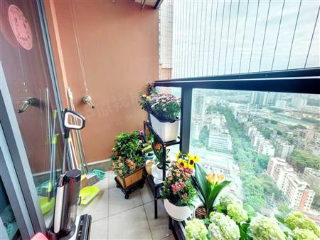 中粮天悦壹号-阳台