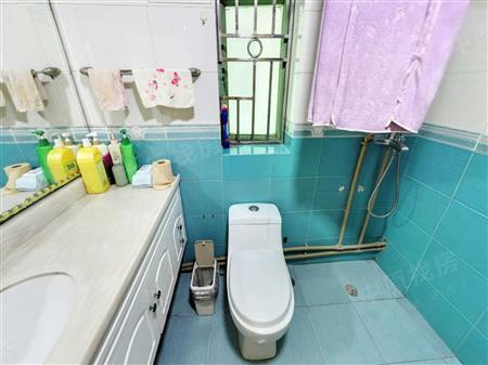 星河明居-卫生间