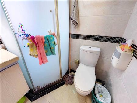 天峦湖花园-卫生间