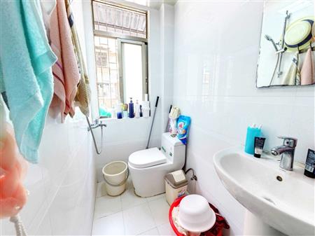 凤凰路58号大院-卫生间