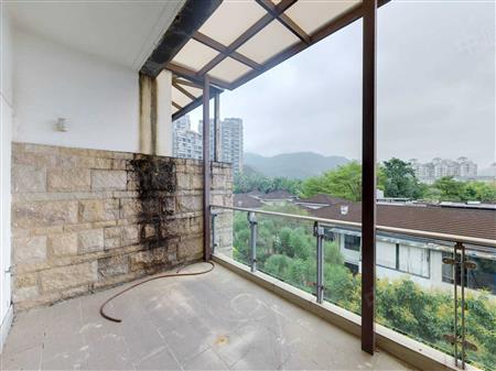 星河丹堤花园-阳台