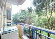 四季花城(三期北区)-阳台