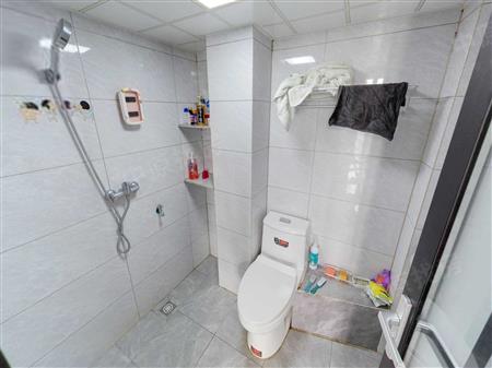 桃源居世外桃源-卫生间