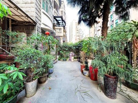 新港鸿花园-其他