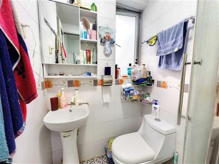 招商桃花园三期-卫生间