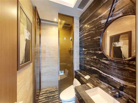 深圳湾一号-卫生间