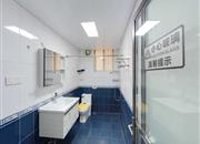 桃源居十二区-卫生间