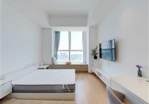 水湾1979高层公寓低税费高性价比地铁口上盖物业海上世界地段