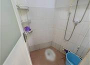 南油A区-卫生间