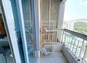 天健世纪花园-阳台