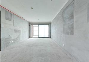 南向，看一线深圳湾海景