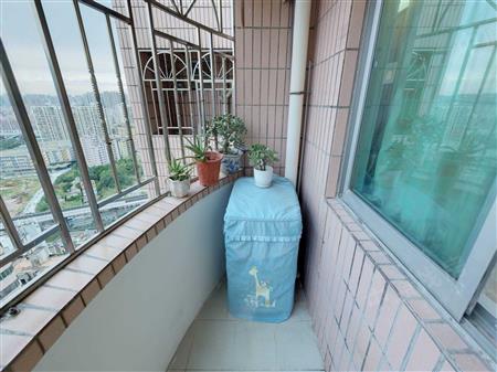 龙珠花园（B区）-阳台