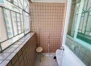 新安湖花园（二期）-阳台