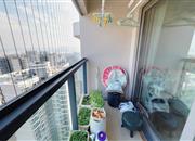 佳兆业山海城家园（一期）-阳台