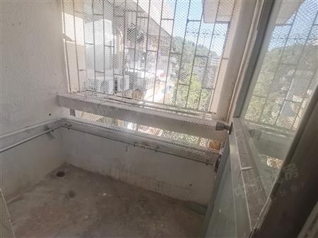 东乐花园(罗湖)-阳台