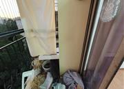 英郡年华花园（一期）-阳台