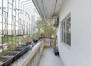 海滨花园(南山)-阳台