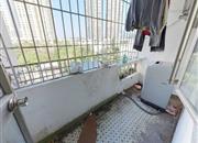 东乐花园(罗湖)-阳台