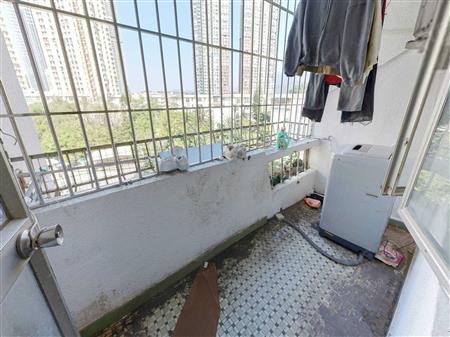 东乐花园(罗湖)-阳台