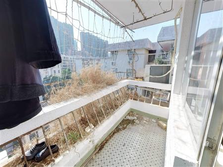 东乐花园(罗湖)-阳台