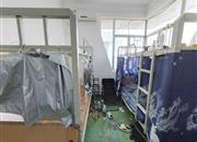 东乐花园(罗湖)-次卧