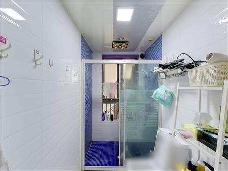 星河丹堤花园-卫生间