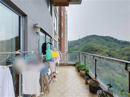 星河丹堤花园-阳台